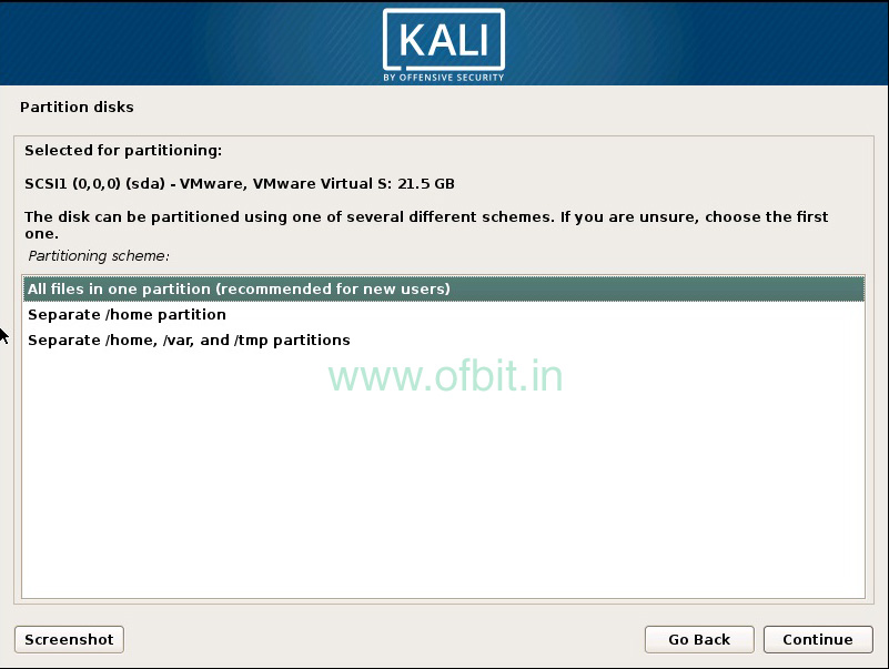 kali linux how to use this partition what should i choose