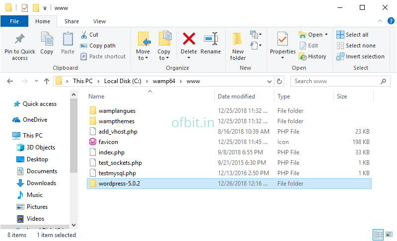 WordPress-wamp64-www-folder-Ofbit.in.jpg
