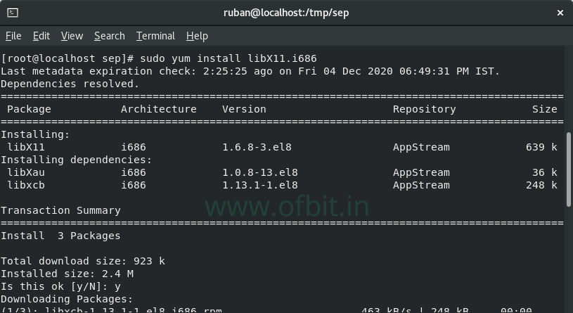 SEP-in-Linux-Install-libX11.i686-Ofbit.in