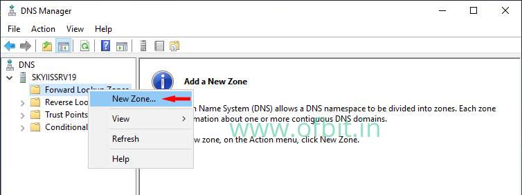 Forward Lookup Zone-Select New Zone-OFBIT